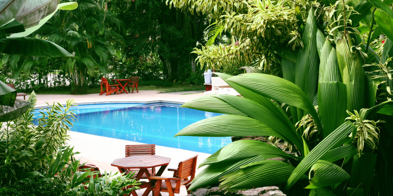 Improve Your Summer Pool Experience with a Spring Pool Landscaping Project